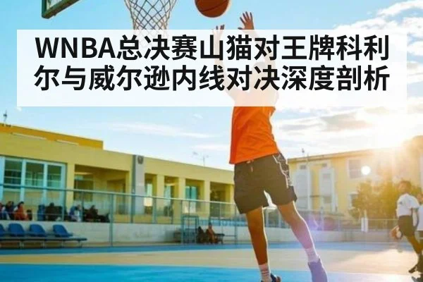 WNBA总决赛山猫对王牌科利尔与威尔逊内线对决深度剖析